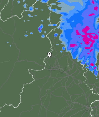Валежи