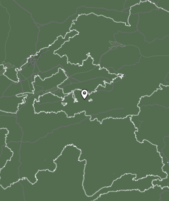 Niederschlagsprognose