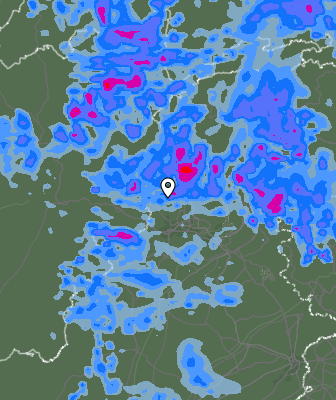 Валежи