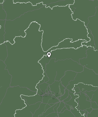 Niederschlagsprognose