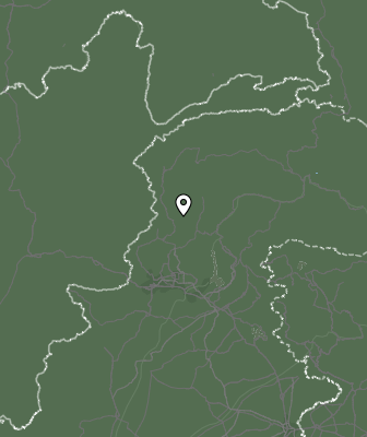 Niederschlagsprognose