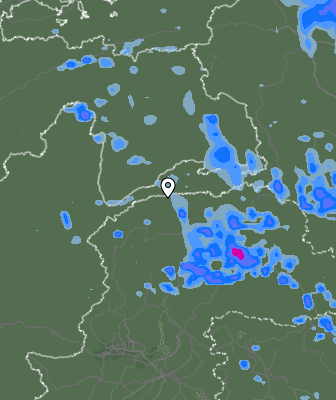Валежи