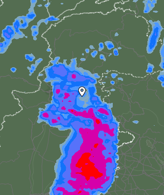Валежи