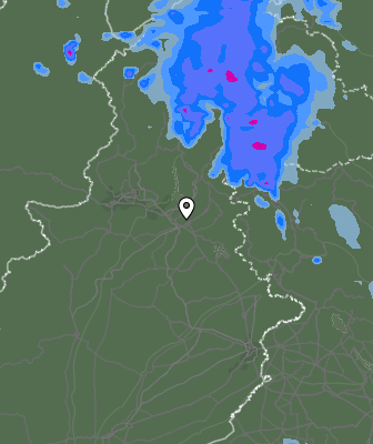 Валежи