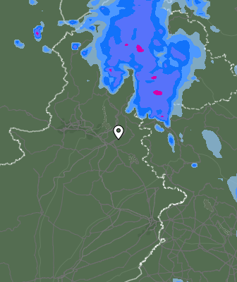 Валежи