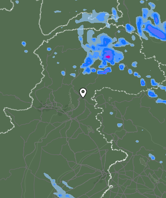 Валежи
