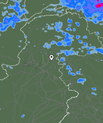 Валежи