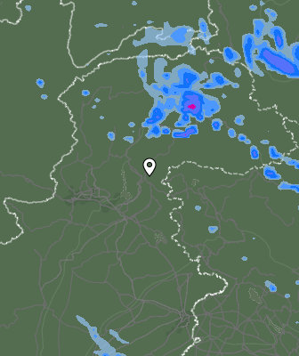 Валежи