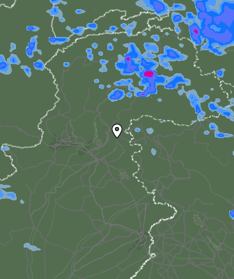 Валежи