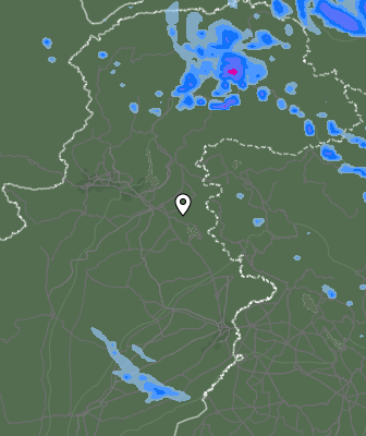 Валежи