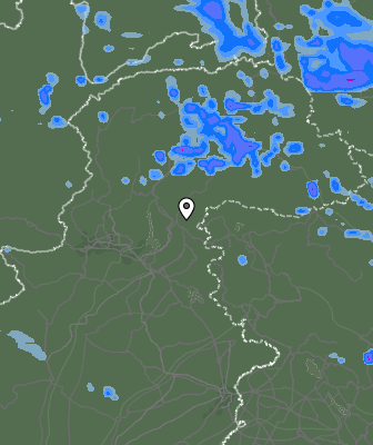 Валежи