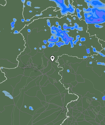 Валежи