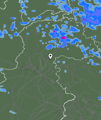 Валежи