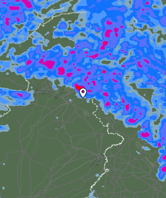 Валежи