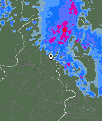 Валежи