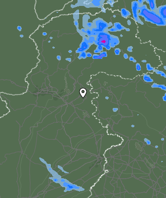 Валежи