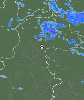Валежи
