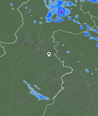 Валежи