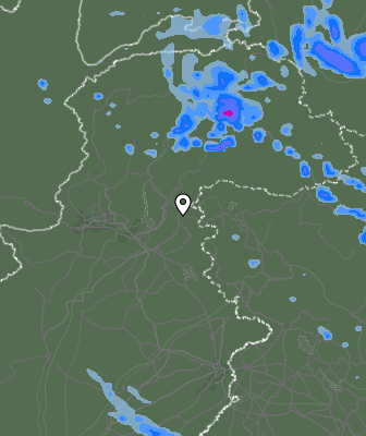 Валежи