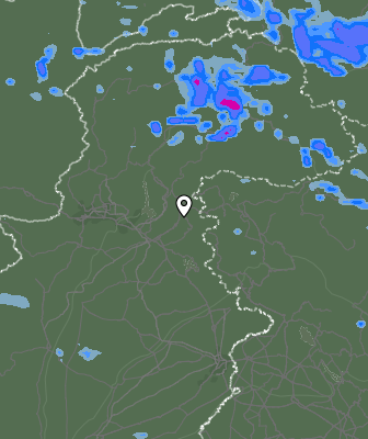 Валежи
