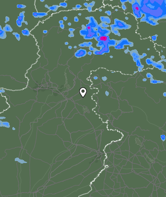 Валежи