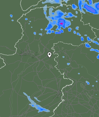 Валежи