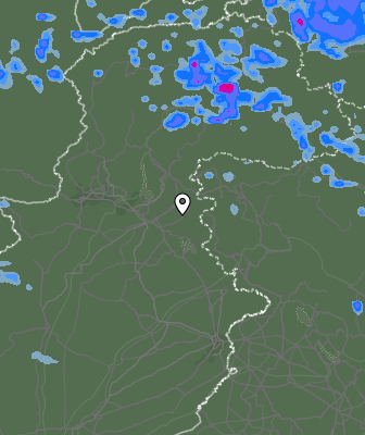 Валежи