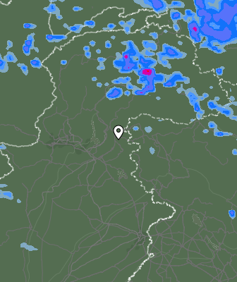 Валежи