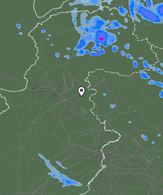 Валежи