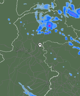 Валежи