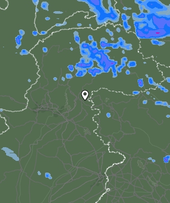 Валежи