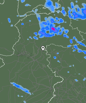 Валежи
