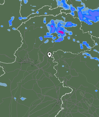 Валежи