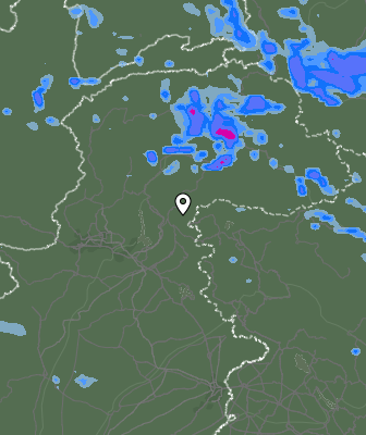 Валежи