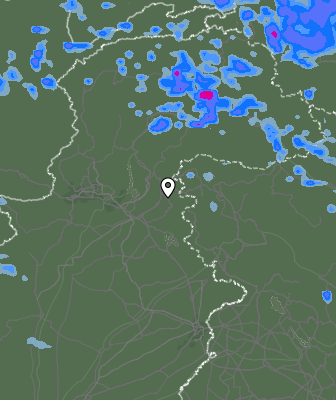 Валежи