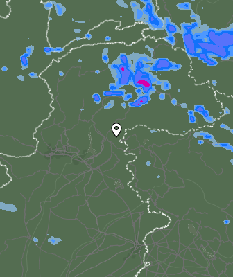 Валежи