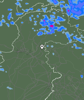Валежи