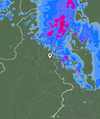 Валежи