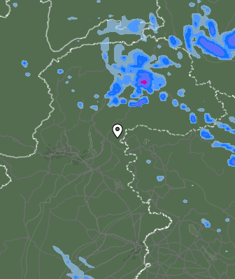 Валежи