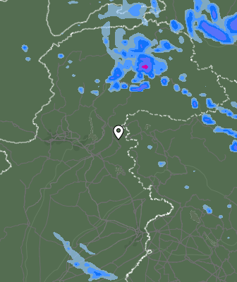 Валежи