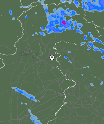 Валежи