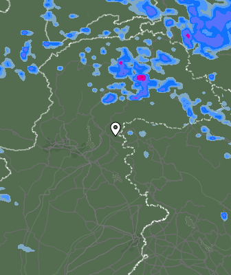 Валежи