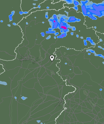 Валежи