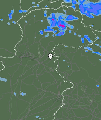Валежи