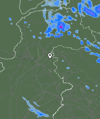 Валежи