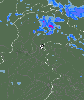Валежи