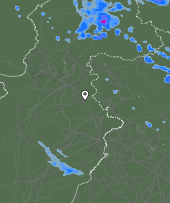 Валежи