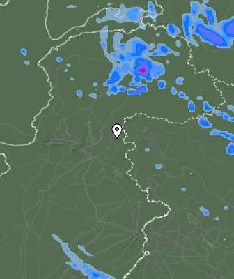 Валежи