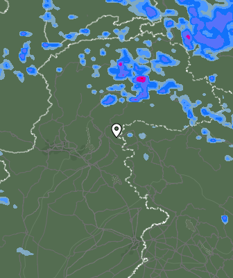 Валежи