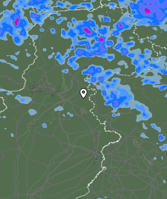 Валежи